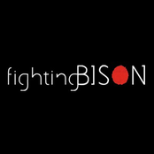 Fighting Bison