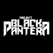 Project Black Pantera