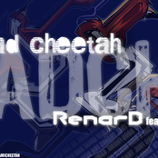Bad Cheetah