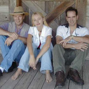 porchdogs cajun zydeco band