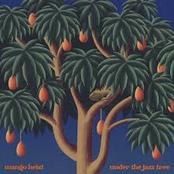 under the jazz tree