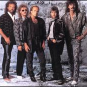 sawyer brown