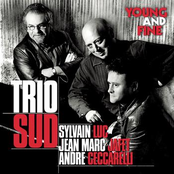 Young And Fine by Trio Sud