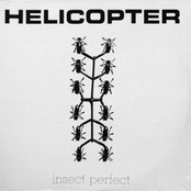Insect Perfect