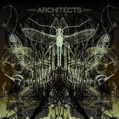 Low by Architects
