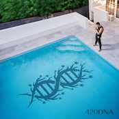 420DNA