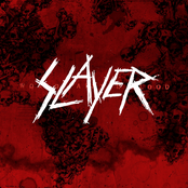 Hate Worldwide by Slayer