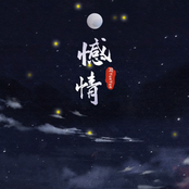 憾情