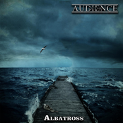 Albatross
