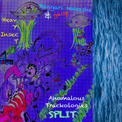 Anomalous Trackologies Split