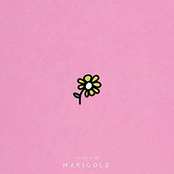Marigold