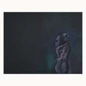 Are We Taking It Slowly