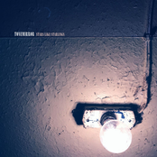 Stars Like Starlings