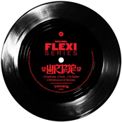Decibel Flexi Series