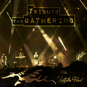 From My Home [A Tribute To The Gathering]