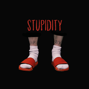 Stupidity