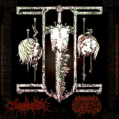 Bloodmould Excrescence