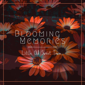 Little old sweet town