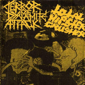 terror of dynamite attack / total hipster crusher
