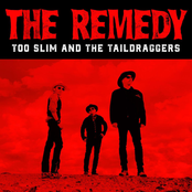 Too Slim And the Taildraggers: The Remedy