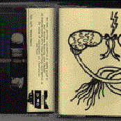 TAR012 bee mask / skin graft split