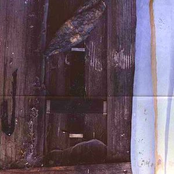 Mors Ultima Linia Rerum