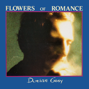 Flowers of Romance: Dorian Grey