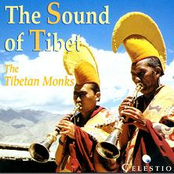 the tibetan monks