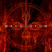 maculatum