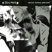 Should Virtual Pets Die?