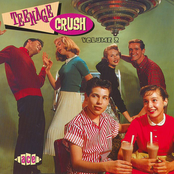 Teenage Crush, Vol. 2
