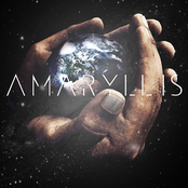 Between The Lies by Amaryllis