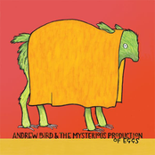 Andrew Bird & the Mysterious Production of Eggs Album Picture
