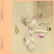 Don't Rush to Grow Up