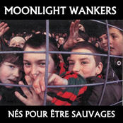 moonlight wankers