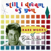 Still I Dream Of You-Rare Works Of Brian Wilson