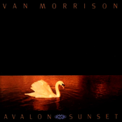 I'm Tired Joey Boy by Van Morrison