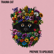 Trauma Cat: Prepare to Apologize
