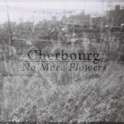 No More Flowers Single