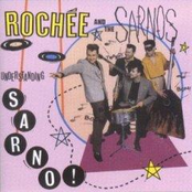 Understanding Sarno!