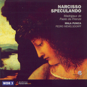 Narcisso Speculando