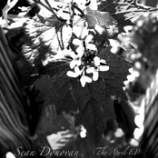 The April EP