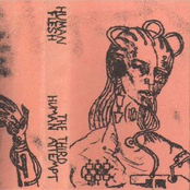 The Third Human Attempt