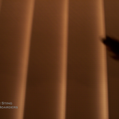 Computer Sting, Without Boarders