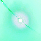 ░҉∙҉ •͎