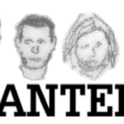 minimalism to the max