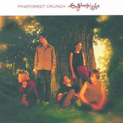 Have You Lost Me by Pineforest Crunch