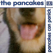 Fake Japanese by The Pancakes