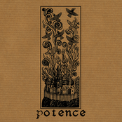 Potence