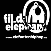 fil_da_elephant